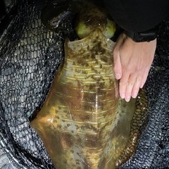 釣り仲間募集