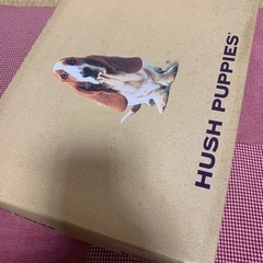 ブーツ差し上げます　23 ハッシュパピー　黒の画像