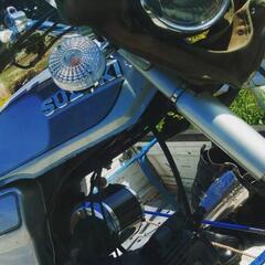 コレダスポーツ