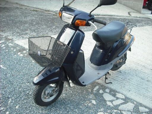 コレクター向け YAMAHA Mint ヤマハ ミント (1YU)  ・ネイビー