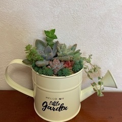 多肉植物寄せ植え(ブリキのジョーロ)