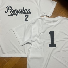 【横浜市保土ヶ谷区】ソフトボール　女子メンバー募集してます