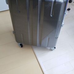 大型キャリーケース