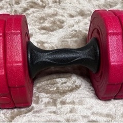 ダンベル 片方最大8.8kg 2つ