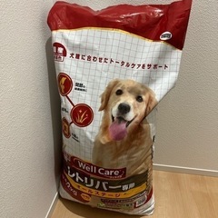 ドッグフード