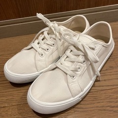 カジュアルシューズ　ホフホワイト