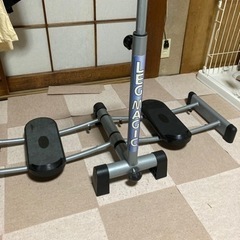 レッグマジックLegmagic X17700 EN957-1 ダ...