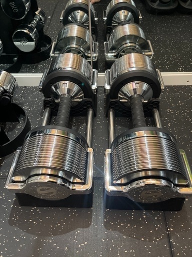 ライシンダンベル