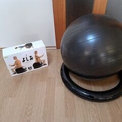 La-VIE 姿勢　よしおリング付きジムボール65㎝