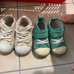 converse 13.5センチ