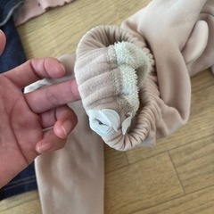 80サイズいろいろの画像