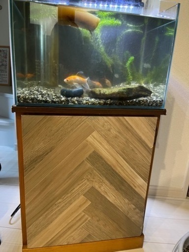 オーバーフロー45cm水槽