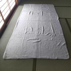 投稿番号958 シーツ
