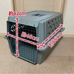 ◆ケンネル キャブ◆クレイト◆小型犬  大きめ