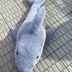サメぬいぐるみ