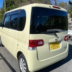 ⭐️みんな大好きタント⭐️の画像