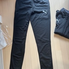 新品PUMA トレーニングウェア　ジャージ　167〜173cmの画像