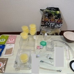 【ゴールデンウィークに廃棄予定】アリの巣その他飼育用セット