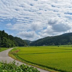 20日空いている方 - その他