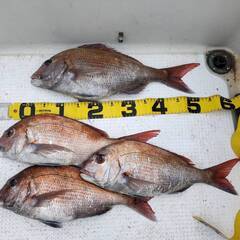 船釣り ジギング　釣り仲間募集 − 福島県
