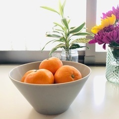 フランフラン、軽量深鉢L、2個セットの画像