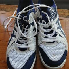 アシックスの画像