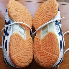 アシックスの画像