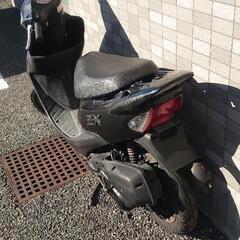 格安 ライブディオの画像