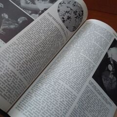 AMERICANA全30巻の画像