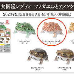 ツノガエルの中古が安い!激安で譲ります・無料であげます(4 ツノガエルの中古が安い!激安で譲ります・無料であげます(4