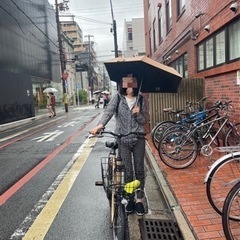 最も軽いほとんど全く新しい電動自転車パナソニック