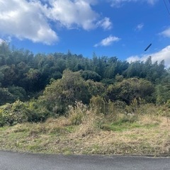 美祢市の古民家、畑、田、山林5万坪、檜大量に有り、相続移転完了、販売開始❣️200万円 − 山口県