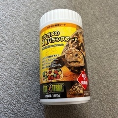 リクガメフード、ライト二つ