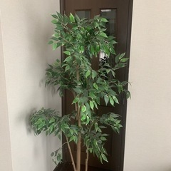観葉植物　フェイクグリーン　造花の画像