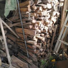 完売しました。小屋撤去にて、数日で締め切り廃棄致します。再度、大...