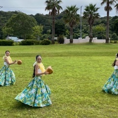 フラダンス•フラガール募集🌺初心者も歓迎。の画像