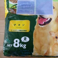 犬　ドッグフード　4キロの画像