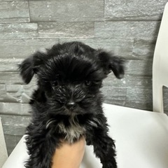 マルキー　9/18日　総額14万