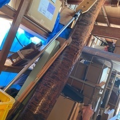 桜の木　の加工品の画像