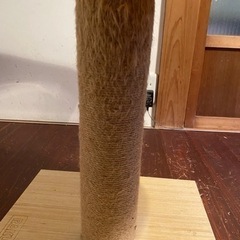 キャットタワー　の画像