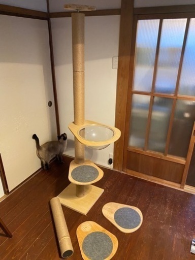 キャットタワー