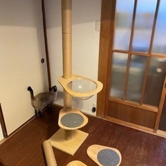 キャットタワー　