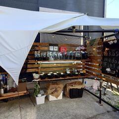 11/19 横須賀メダカ　無人販売　
