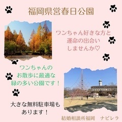 愛犬家の皆さま必見！【ワンちゃんお散歩♡婚活イベント】参加者募集します - 春日市