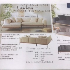 2.5Pピーチ　ソファーの画像