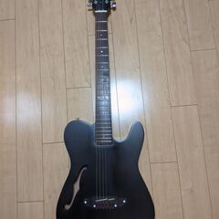 シェクターエレアコSCHECTER OL-FL STBK