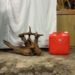 流木　サイズ、種類様々あります。