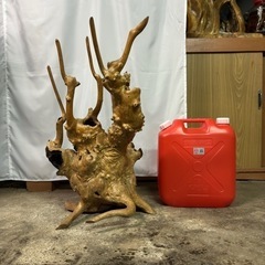 流木　サイズ、種類様々あります。