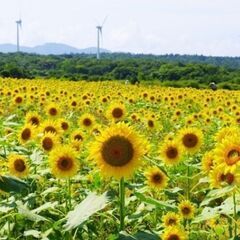 【重量物一切なし！モクモク軽作業のお仕事】個室寮◎未経験でもOK機械オペレーターの画像