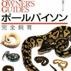 ボールパイソン仲間